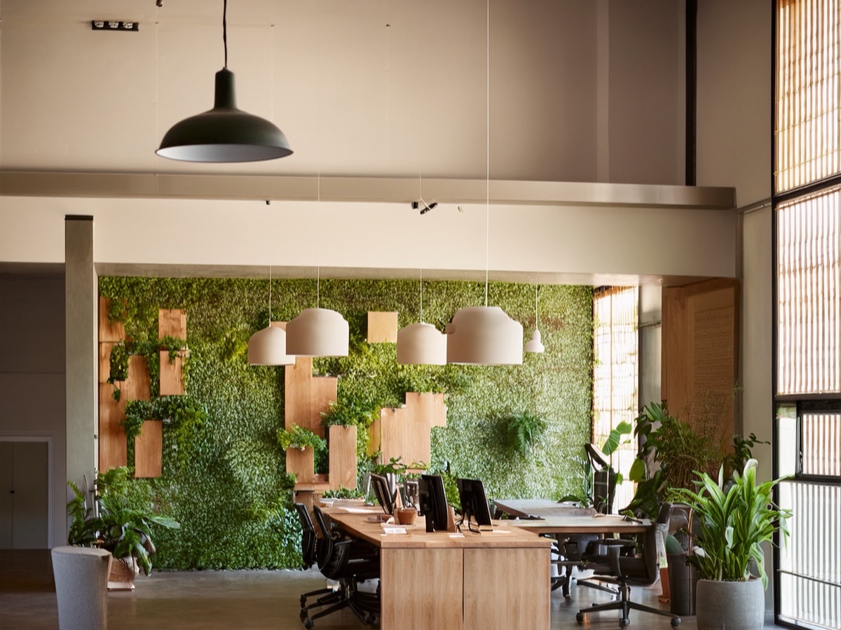 Corporate interior with graphic wall
